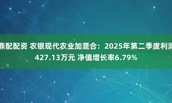 鼎配配资 农银现代农业加混合:2025年第二季度利润427.13万元 净值增长率6.79%