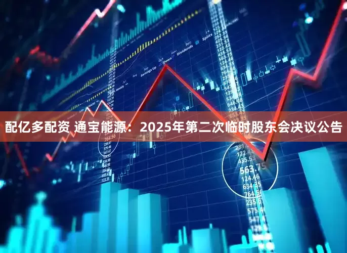配亿多配资 通宝能源：2025年第二次临时股东会决议公告